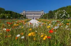 Découvrez le Jardin des Plantes : Un Havre de Paix à Deux Pas de l'Hôtel Observatoire Luxembourg